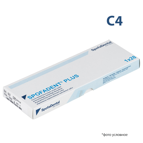 Изображение Зубы Спофадент плюс / Spofadent plus С4 1/48-0/6-1/72