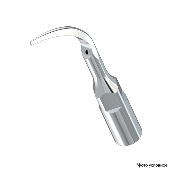 Изображение Насадка к скалеру P1 Woodpecker