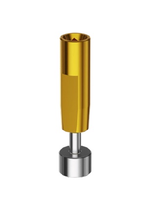 Изображение Аналог имплантата, узкая платформа PK-D1-3