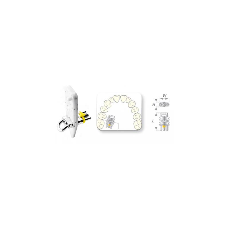 Изображение Винт ортодонтический Vector тип 420 (mini сектор.прямой 5,5мм) 1шт 2512