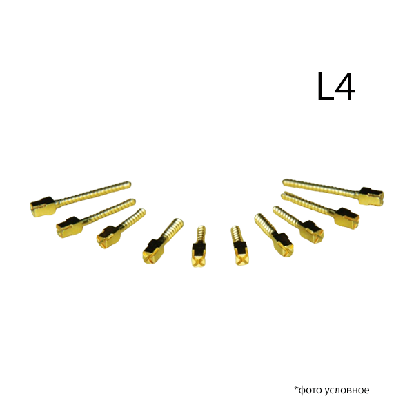 Изображение Штифты внутриканальные латунные ШВП L4 12шт Форма
