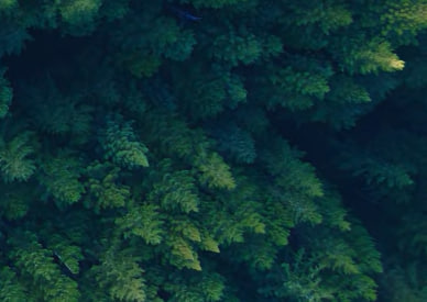 Изображение Белагель Са/Р реминерализирующий гель, шприц, 5 мл