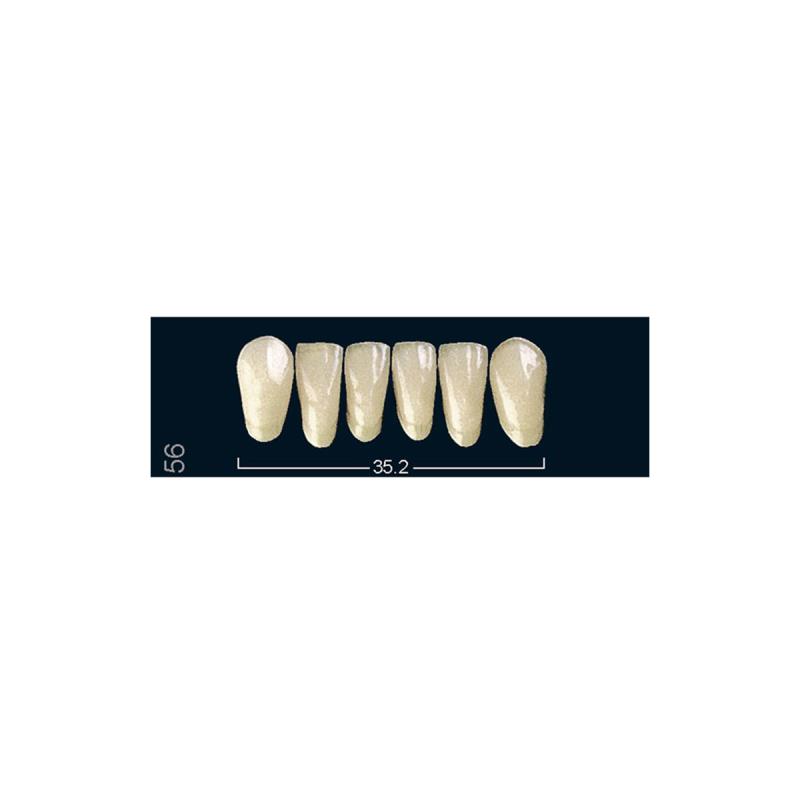 Изображение Зубы искуственные фронтальные нижние Ivocryl Set of 6 L UK56 A2