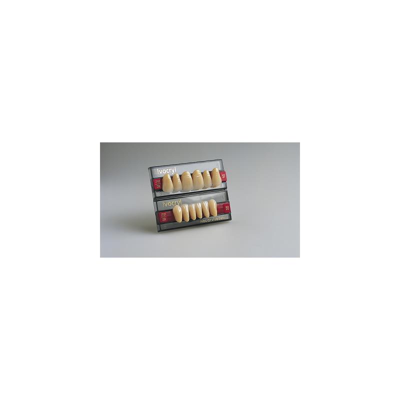 Изображение Зубы искуственные фронтальные нижние Ivocryl Set of 6 L UK56 A3