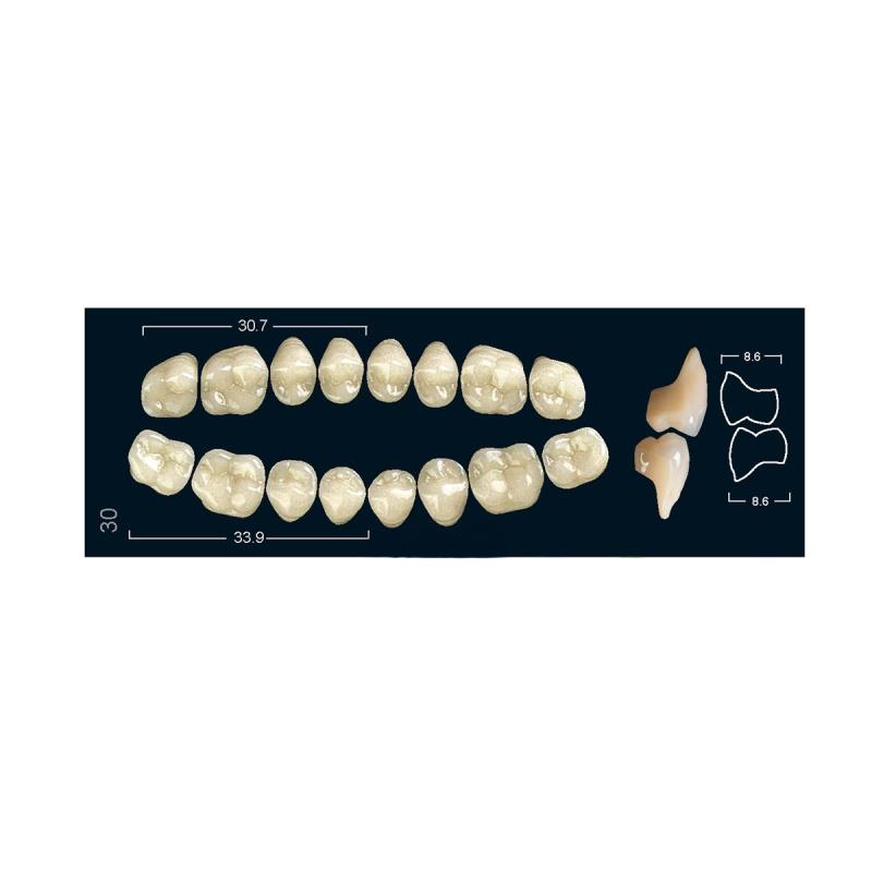 Изображение Зубы искуственные боковые верхние Ivocryl Set of 8 U OK30O A3