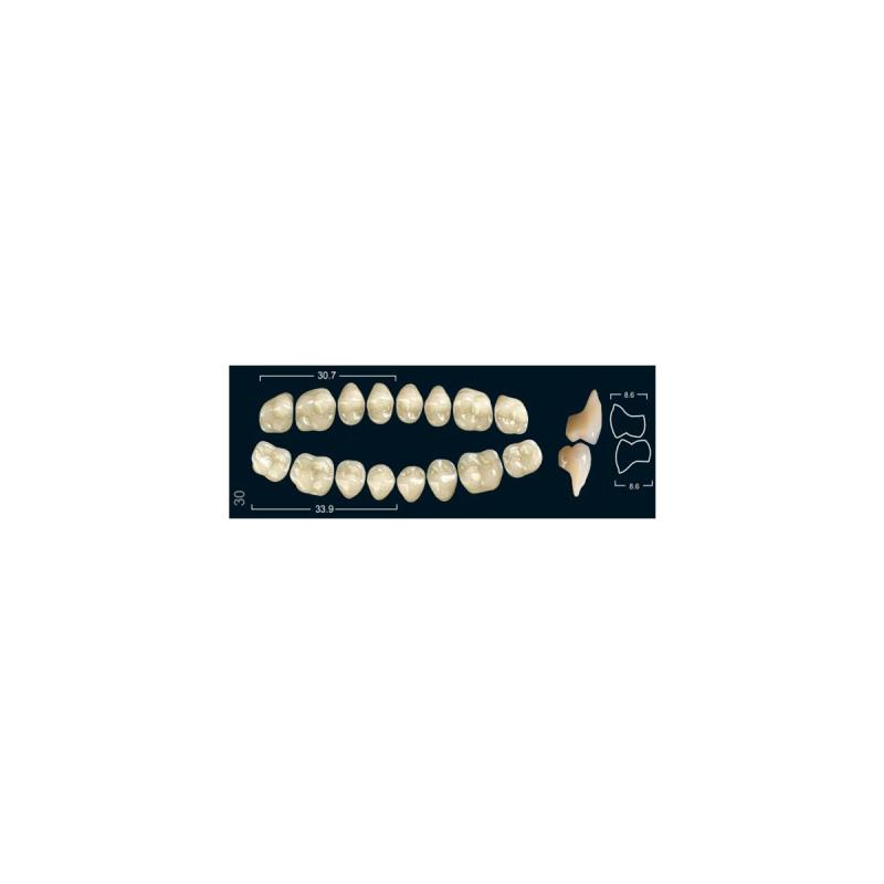 Изображение Зубы искуственные боковые нижние Ivocryl Set of 8 L UK30U A1