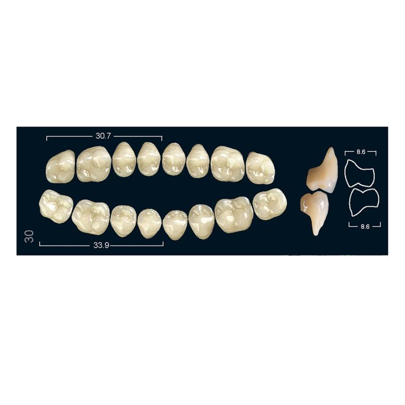 Изображение Зубы искуственные боковые нижние Ivocryl Set of 8 L UK30U A3