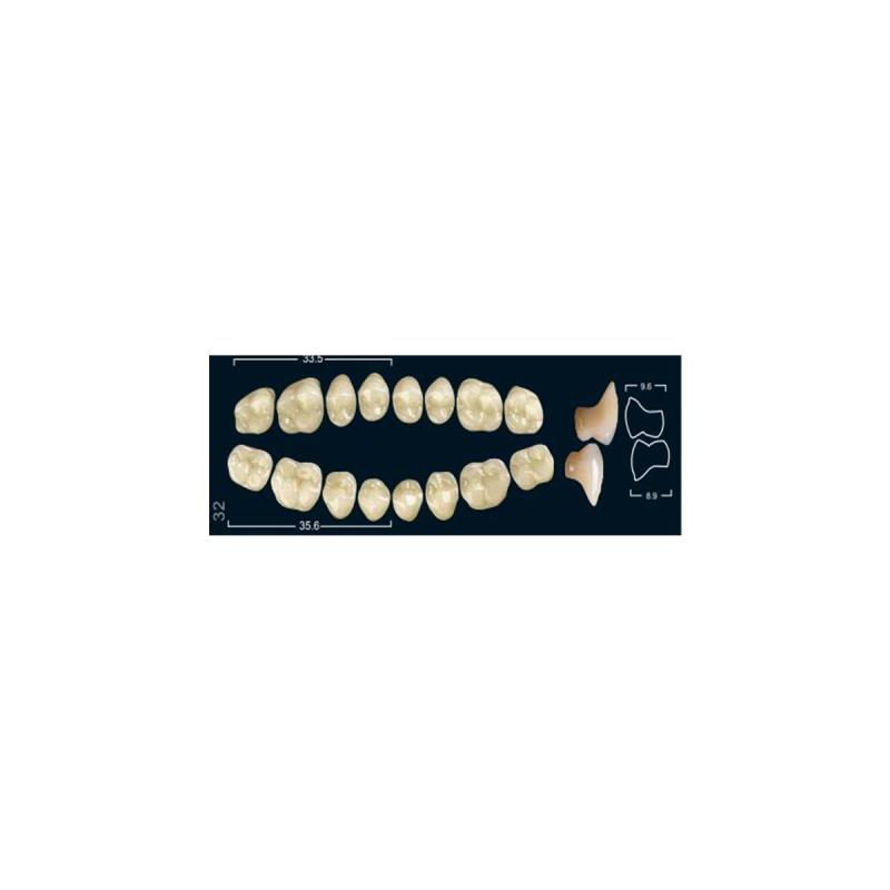 Изображение Зубы искуственные боковые нижние Ivocryl Set of 8 L UK32U A3