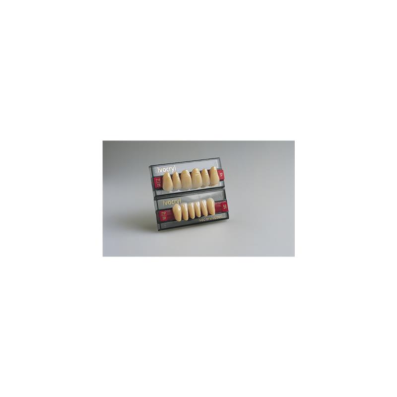 Изображение Зубы искуственные боковые нижние Ivocryl Set of 8 L UK30U A2