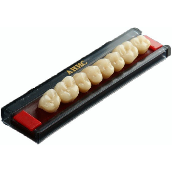 Изображение Зубы акриловые, трехслойные, цвет А2, размер 82, 8 шт жевательные верхние Анис